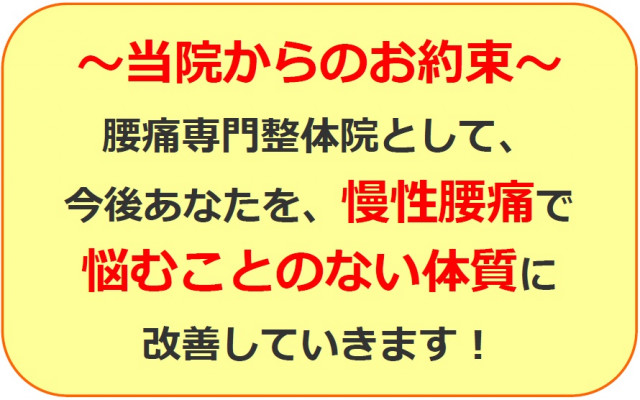 今後、慢性腰痛で悩むことのない体質に改善していきます！