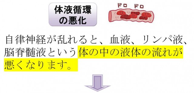 ＜体液循環の悪化＞自律神経が乱れると、血液、リンパ液、脳脊髄液という体の中の液体の流れが悪くなります。