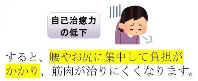 <自己治癒力の低下>すると、腰やお尻に集中して負担がかかり、筋肉が治りにくくなります。
